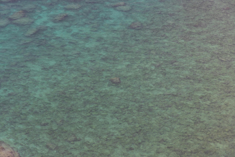 Early Complex Life Clung to Oxygenated Seafloors