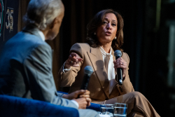Democratic Party Internal Struggles and Future Direction