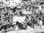 “Brave WWII Veterans Share Lasting Legacy in Powerful Farewell”