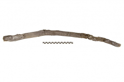 430,000-Year-Old 'Stick' in Greece Could Be Oldest Wood Tool