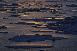 Doomed Arctic Expedition: More Remains Identified