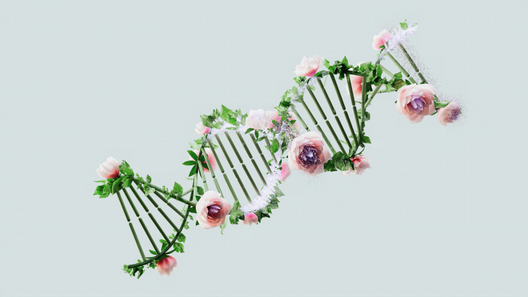Biological Age Tests Aren't Useful for Individuals