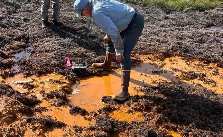 Why the Arctic's Rivers Are Rusting