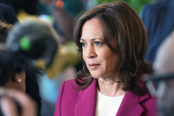 Democrats' 192-Page Autopsy Sounds Like Bad Therapy