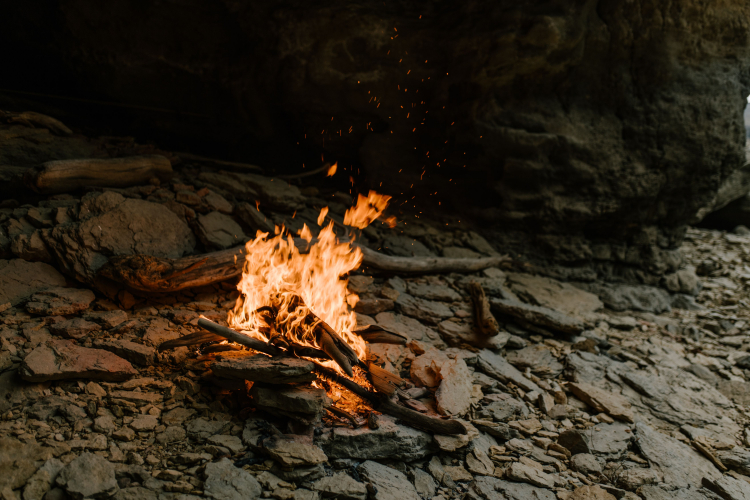 Stone Tools, Fire, Language, Artificial Intelligence