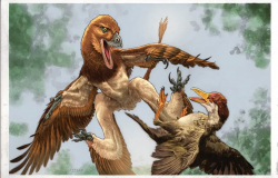 New Cousin of Velociraptor Likely Glided on Four 'Wings'