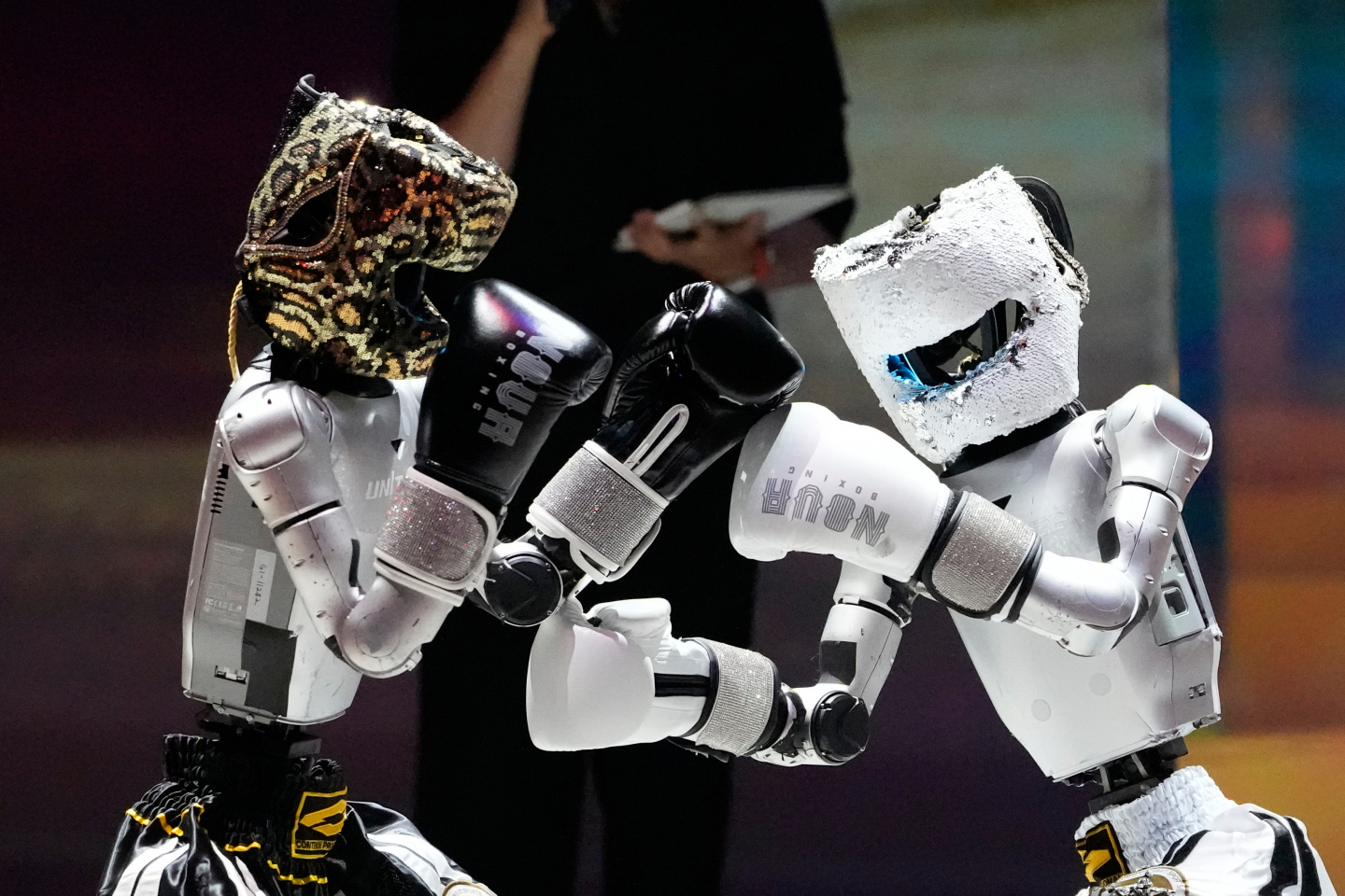Rural NY School to Get Humanoid Robot Teacher