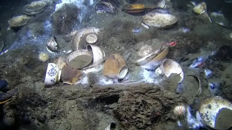 Shipwreck 'Beyond Belief' Stuns Archaeologists in Norway