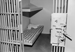 Safety Starts With Solving Crimes, Not Just Reporting Them