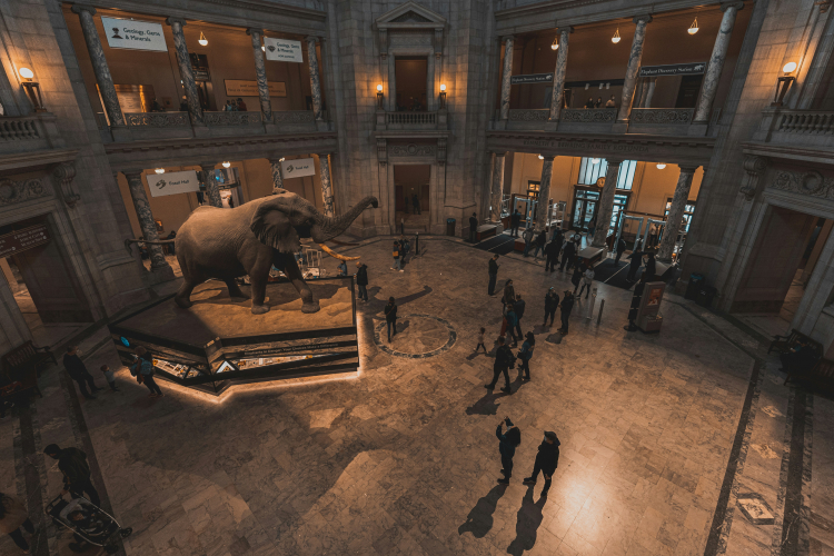 The Smithsonian's Best Kept Secrets