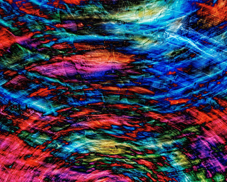 Can Psychedelics Protect the Aging Brain?