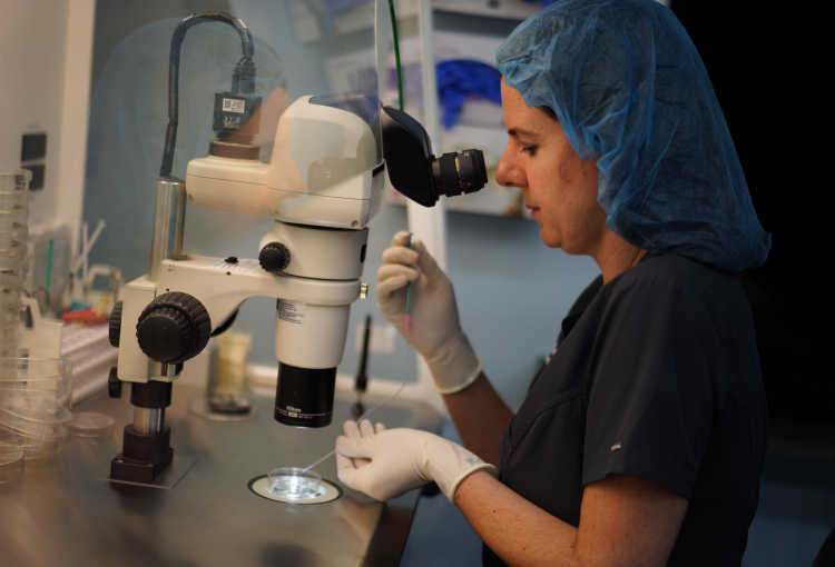 Who Owns the Embryo?