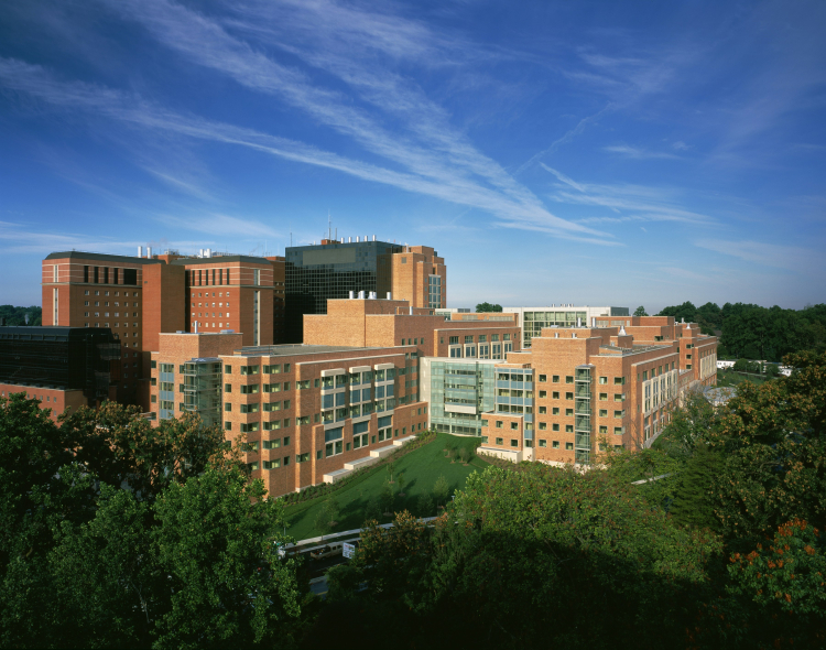 Aging Research Receives Little Funding From NIH