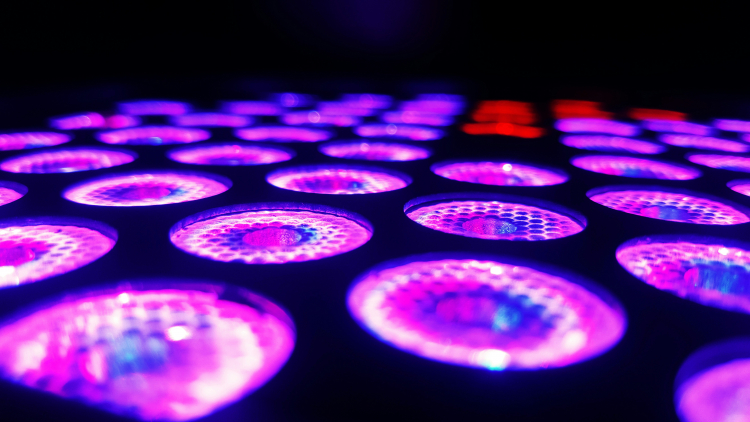 The LED Light War