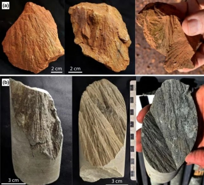 Geologists Searched for Gold. They Found Something Rarer