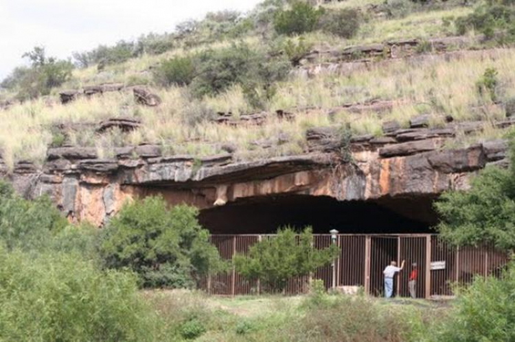 Earliest Evidence of Fire Use Pushed Back to Over a Million Years