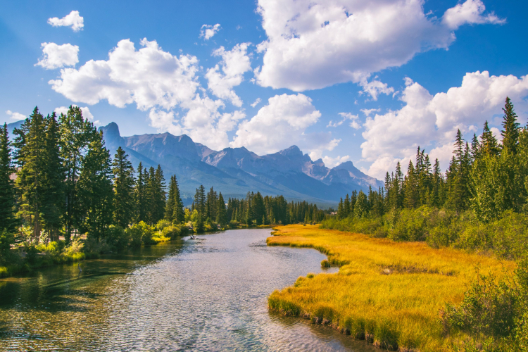 How Alberta Eradicated Rats