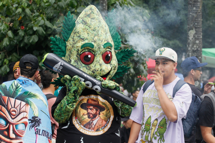 Legalizing Cannabis Increases Use and Addiction