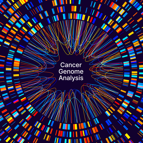 Why the Human Genome May Confound AI