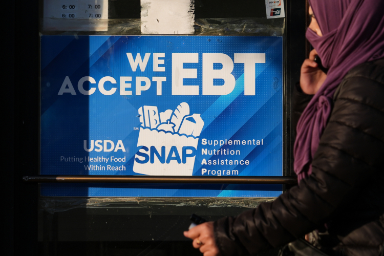 Blue States Feed Taxpayers to Food-Stamp Wolves Blue States Feed Taxpayers to Food-Stamp Wolves