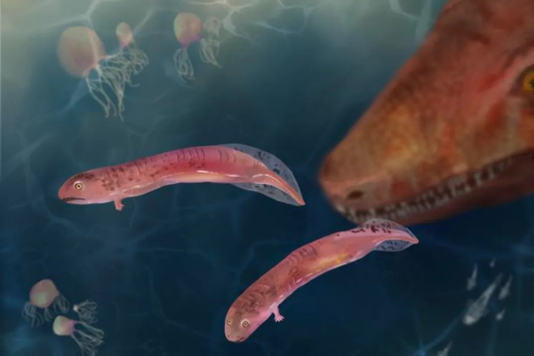 Fossils Challenge What We Know About Tetrapod Evolution