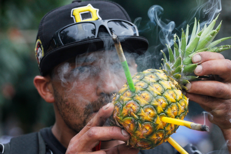 Takeaways From New Research on Cannabis and the Brain