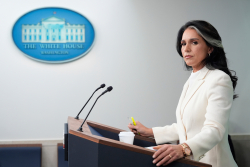 Gabbard Drops Fauci Covid Receipts on Last Day Gabbard Drops Fauci Covid Receipts on Last Day