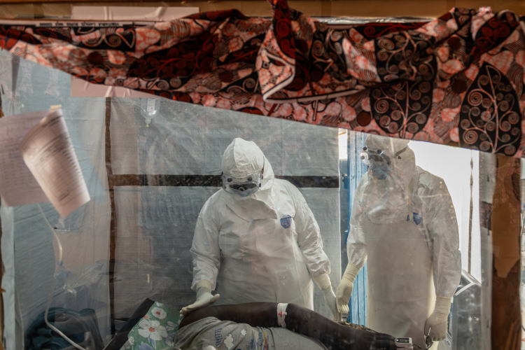 Where Did This Ebola Virus Come From?