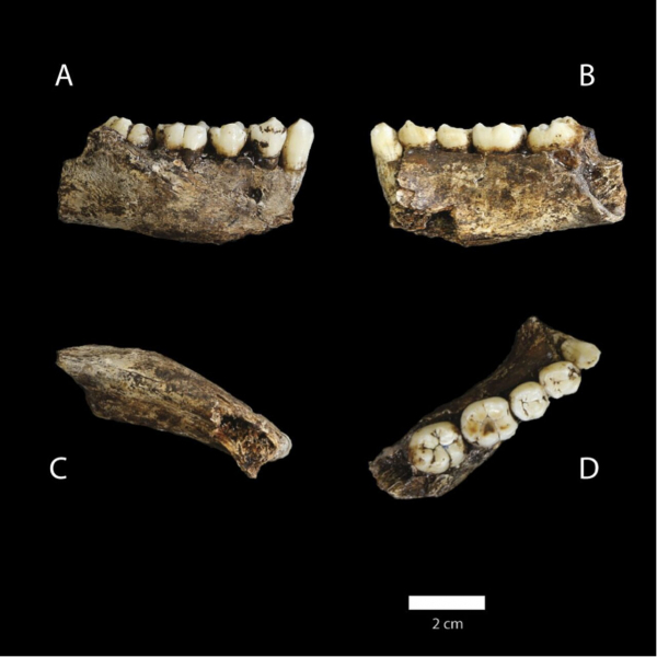 Controversial Ancient Human Burial Site Gets More Mysterious
