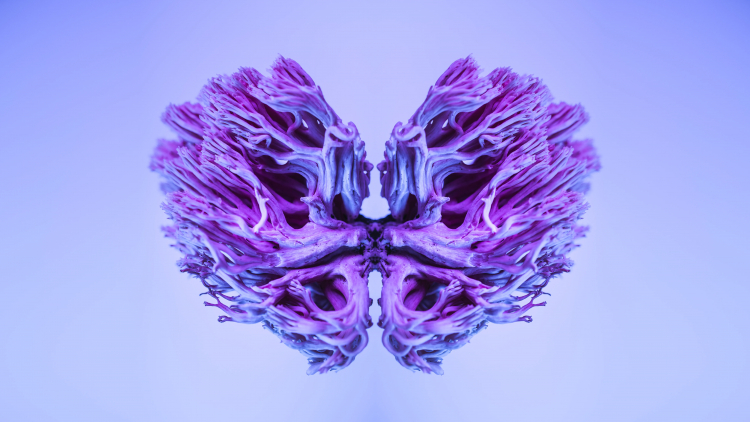 Cerebellum May Help Explain Why Some Elderly Stay Sharp