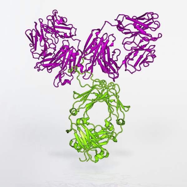 Scientists Find a Mix and Match Mechanism for Cancer Drugs