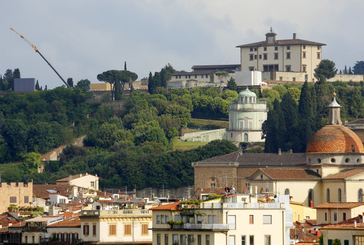 DNA Solves What Killed Two Medici Brothers