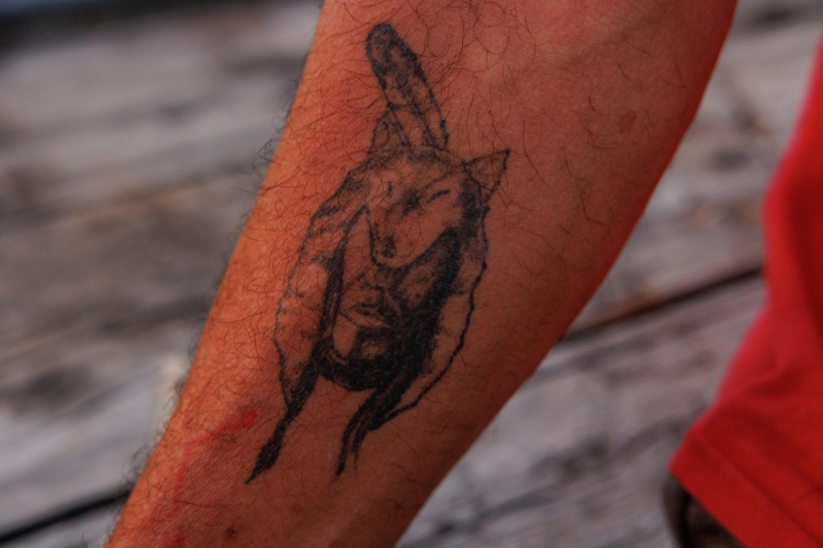 Tattoos Affect Your Immune System in Myriad Ways