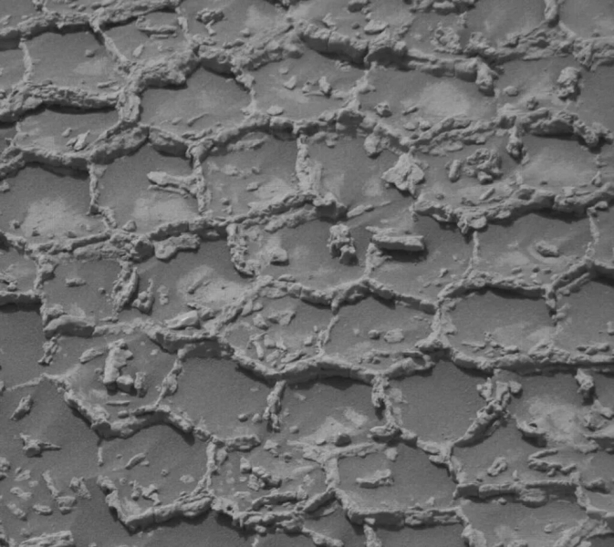 Curiosity Rover Found Odd 'Honeycomb' Structures on Mars
