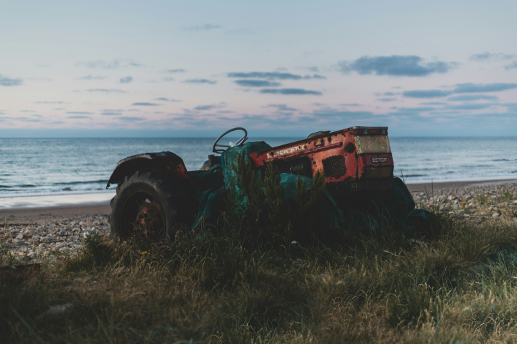 Microbe Could Help Farmers Survive Rising Seas