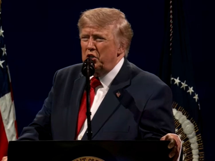 Trump al 'Salute to America': celebrazioni per il 250° anniversario