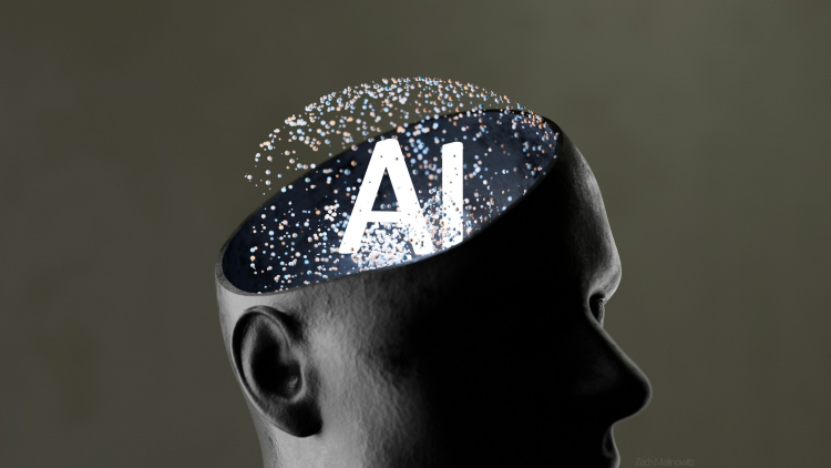 Humans Run Inference Just Like AI