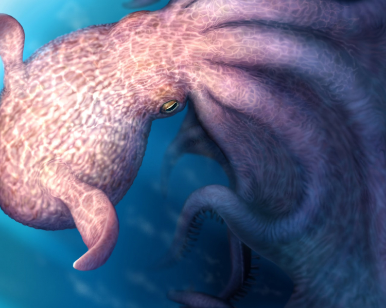The First Octopuses Were Kraken-like Monsters