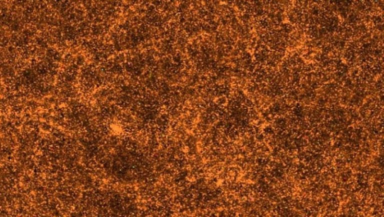 Famous Study in Error: The Universe Isn't Anisotropic