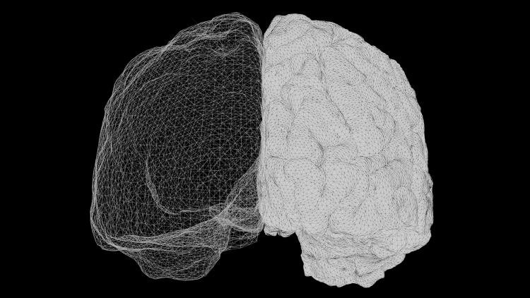 Is Mental Illness the Evolutionary Cost of Our Big Brain?