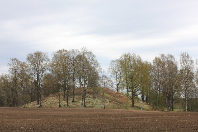 The Mystery of Rakni's Mound