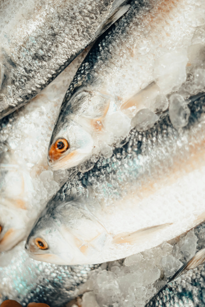The 'Edible' Seafood That Gives You Scombroid Poisoning