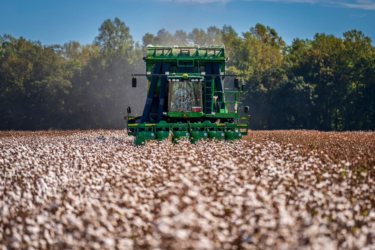 How Two Socialist Brothers Automated Cotton Picking