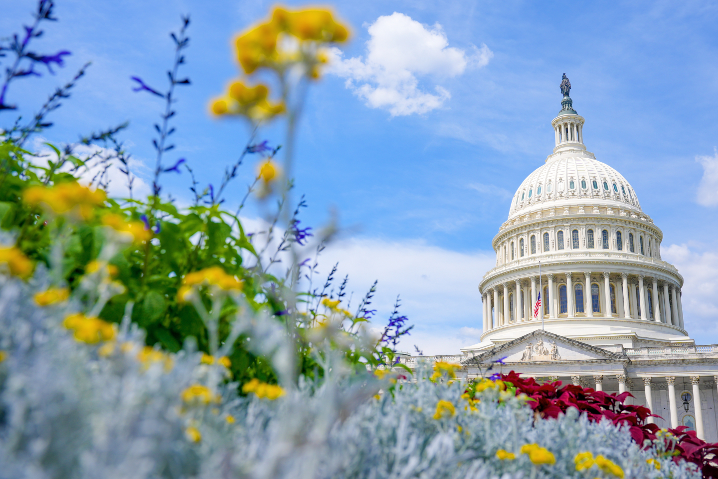 The Sad Truth About Who Really Relies On Federal Benefits