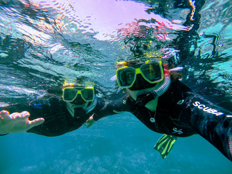 Seasick? There's Finally a New Drug for That
