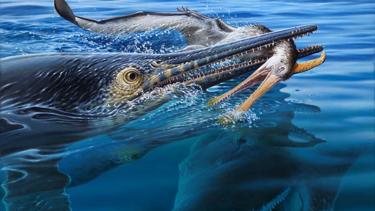 Fossils Reveal Incredible Triple Predator Interaction