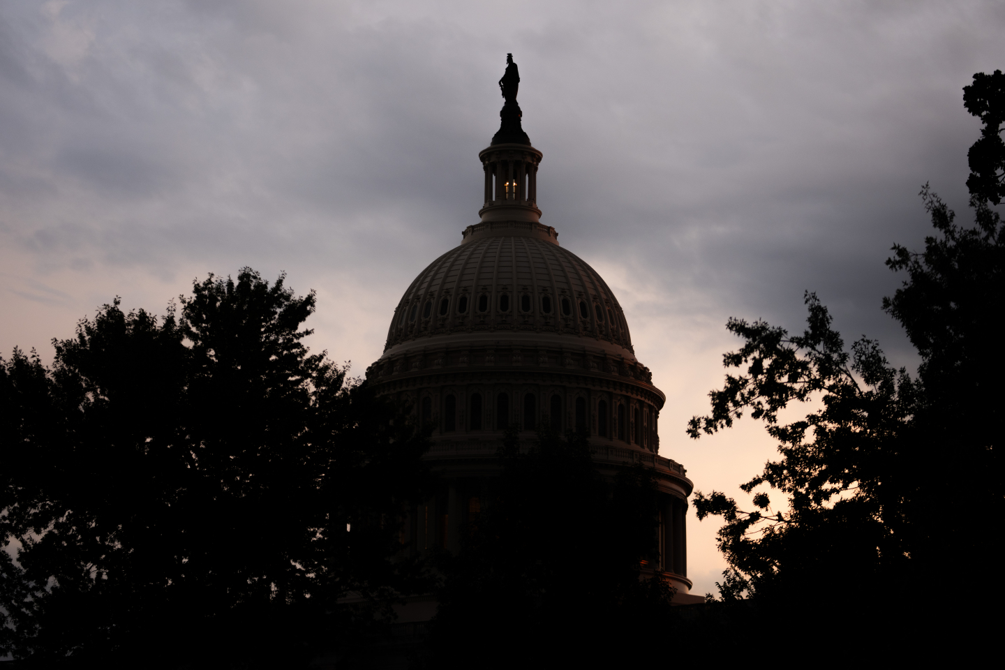 Want to Get Rich? Don't Start a Business, Run for Congress