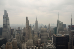 Will Mamdani's Left YIMBYism Work?