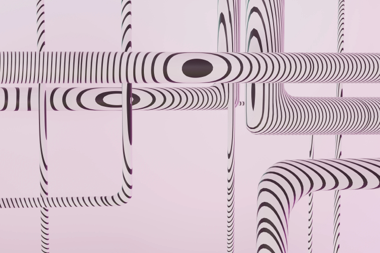 How the Brain Finds Order in Visual Chaos