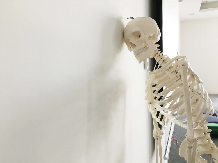 Your Bones Are in a Constant State of Remodeling